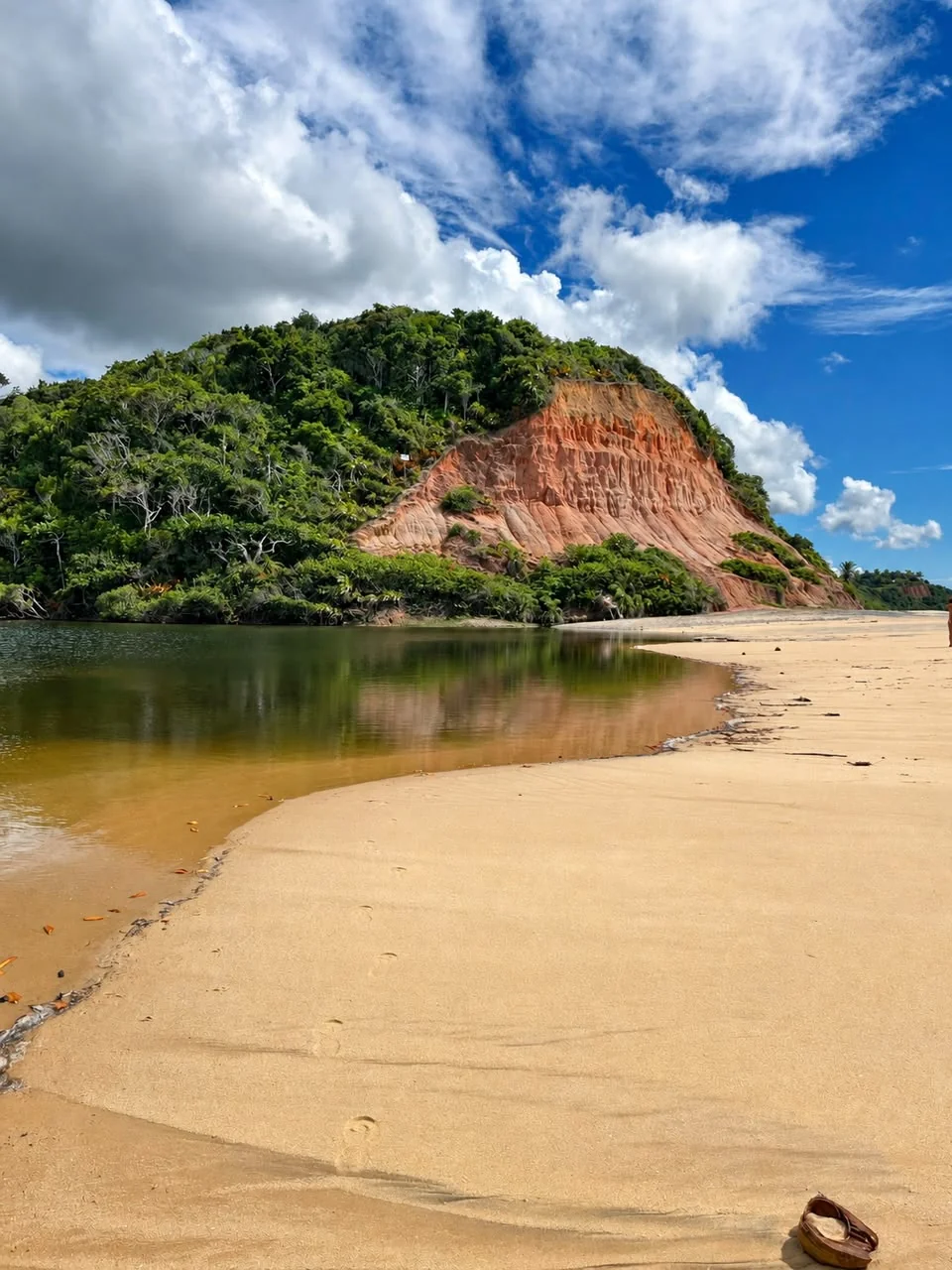 Una playa y aguas tranquilas junto a un acantilado con vegetación.